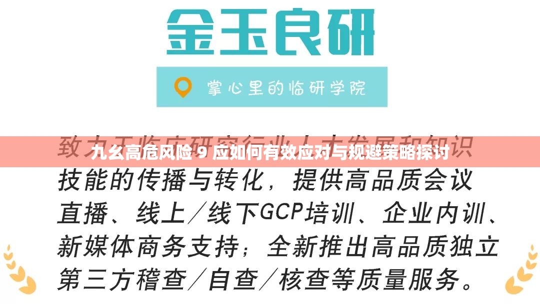九幺高危风险 9 应如何有效应对与规避策略探讨