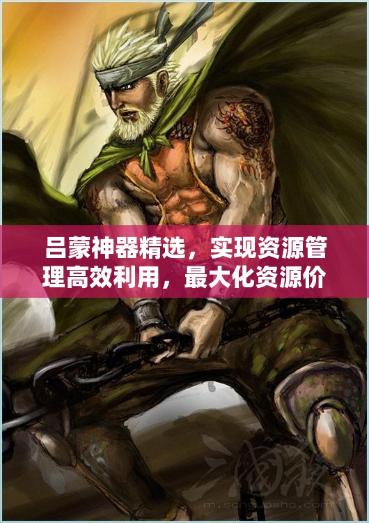 吕蒙神器精选，实现资源管理高效利用，最大化资源价值的策略解析