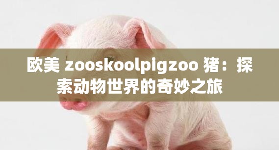 欧美 zooskoolpigzoo 猪：探索动物世界的奇妙之旅