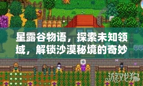 星露谷物语，探索未知领域，解锁沙漠秘境的奇妙冒险之旅