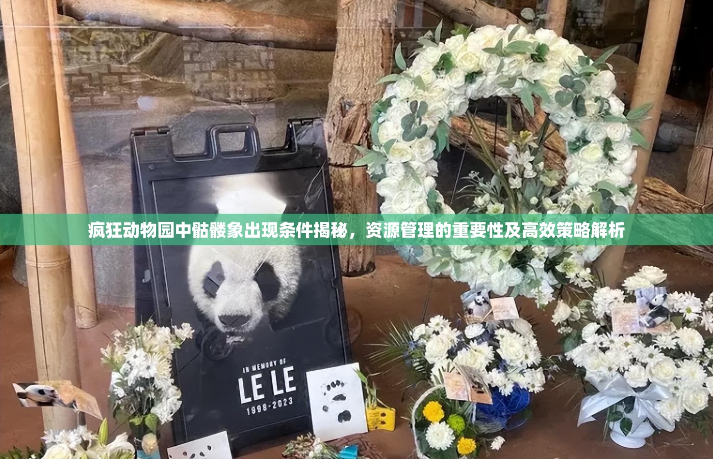 疯狂动物园中骷髅象出现条件揭秘，资源管理的重要性及高效策略解析