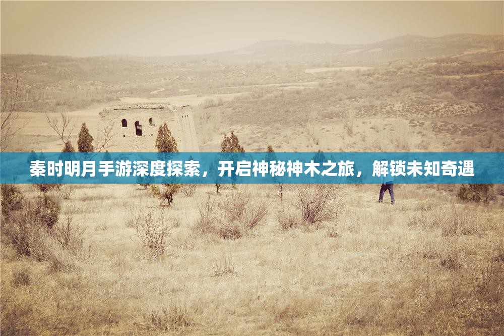 秦时明月手游深度探索，开启神秘神木之旅，解锁未知奇遇