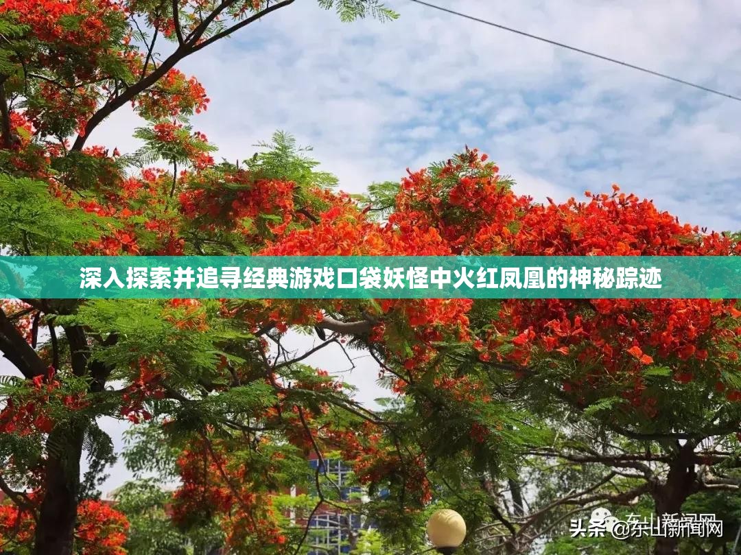 深入探索并追寻经典游戏口袋妖怪中火红凤凰的神秘踪迹