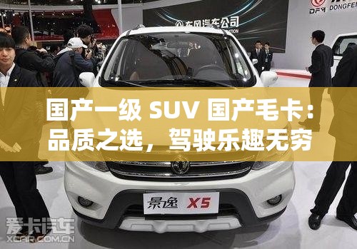 国产一级 SUV 国产毛卡：品质之选，驾驶乐趣无穷