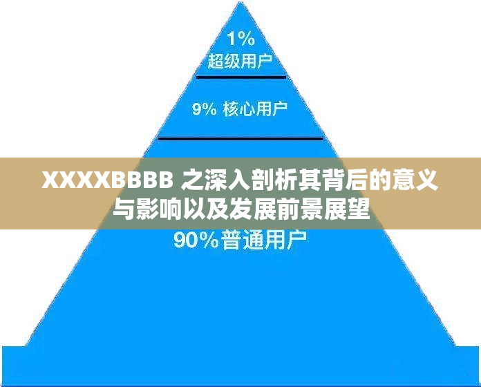 XXXXBBBB 之深入剖析其背后的意义与影响以及发展前景展望