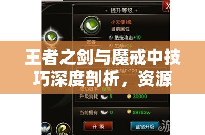 王者之剑与魔戒中技巧深度剖析，资源管理、高效运用策略及避免浪费指南