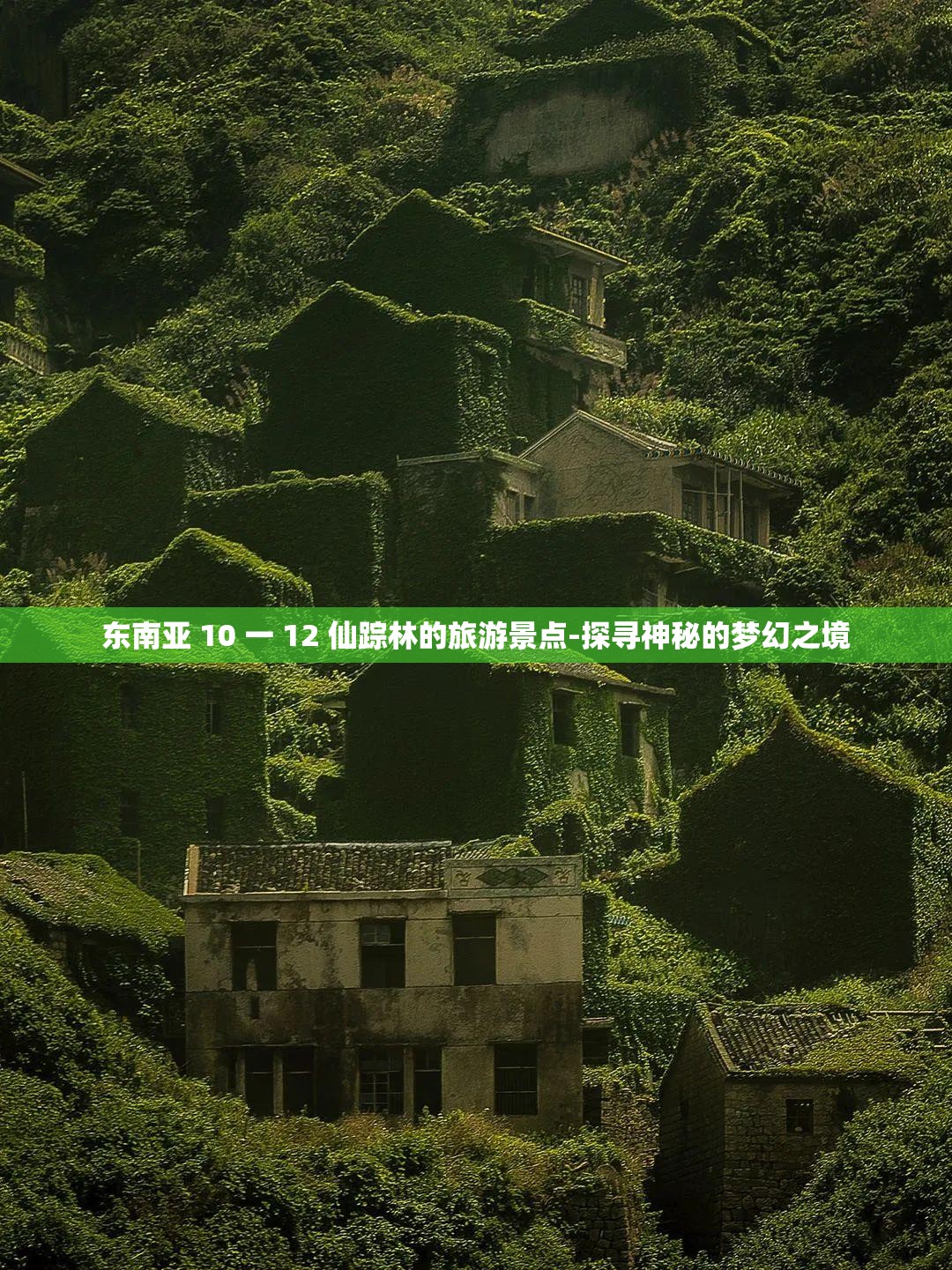 东南亚 10 一 12 仙踪林的旅游景点-探寻神秘的梦幻之境