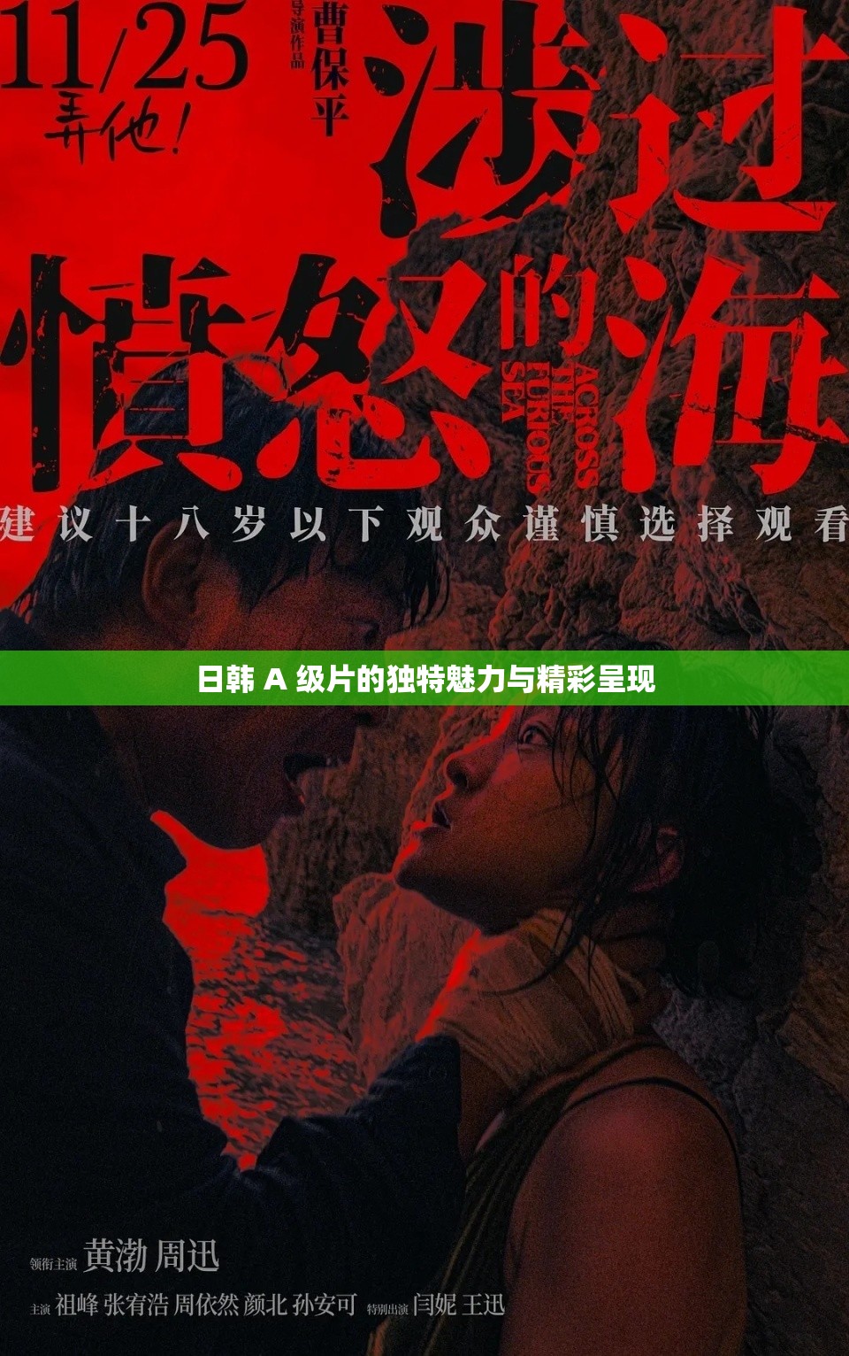 日韩 A 级片的独特魅力与精彩呈现