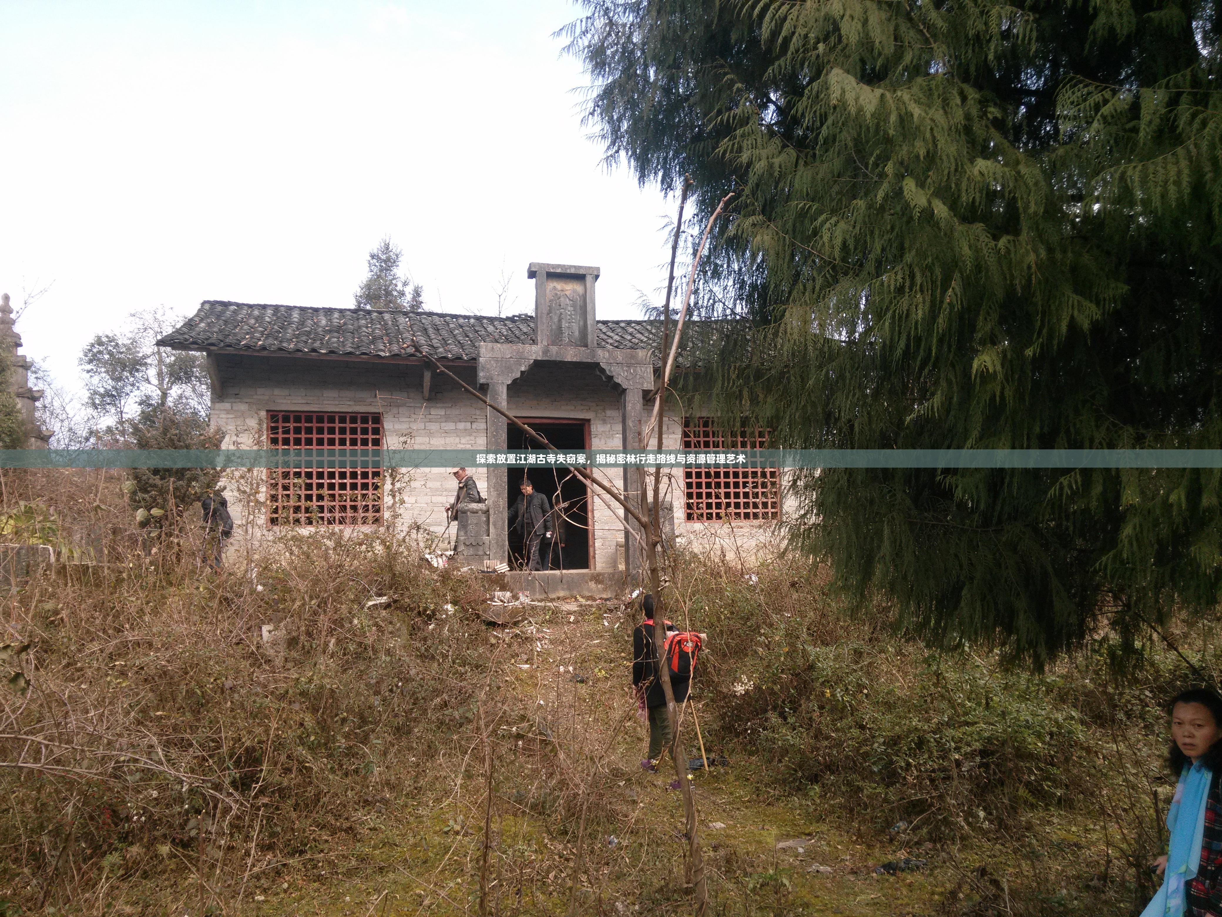 探索放置江湖古寺失窃案，揭秘密林行走路线与资源管理艺术