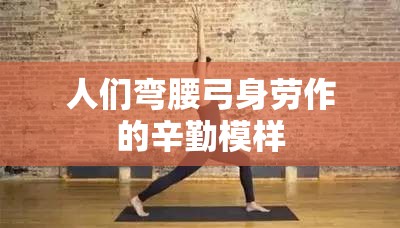 人们弯腰弓身劳作的辛勤模样