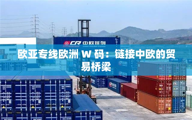 欧亚专线欧洲 W 码：链接中欧的贸易桥梁