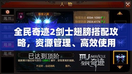 全民奇迹2剑士翅膀搭配攻略，资源管理、高效使用策略以最大化其价值