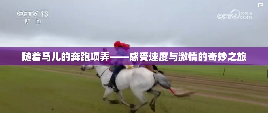 随着马儿的奔跑项弄——感受速度与激情的奇妙之旅