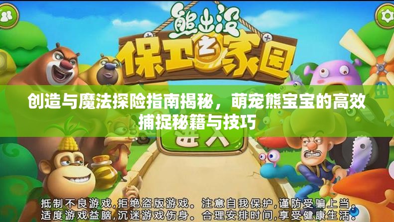 创造与魔法探险指南揭秘，萌宠熊宝宝的高效捕捉秘籍与技巧
