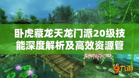 卧虎藏龙天龙门派20级技能深度解析及高效资源管理策略