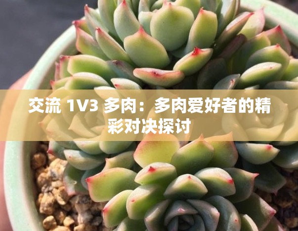 交流 1V3 多肉：多肉爱好者的精彩对决探讨