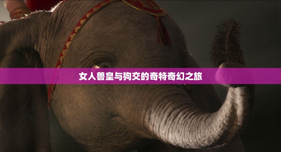 女人兽皇与狗交的奇特奇幻之旅