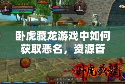 卧虎藏龙游戏中如何获取恶名，资源管理、高效利用策略及避免浪费指南