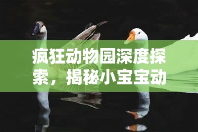 疯狂动物园深度探索，揭秘小宝宝动物繁殖的神奇奥秘与过程