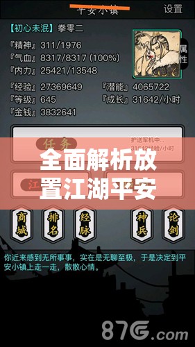 全面解析放置江湖平安小镇，揭秘所有隐藏任务及全攻略指南