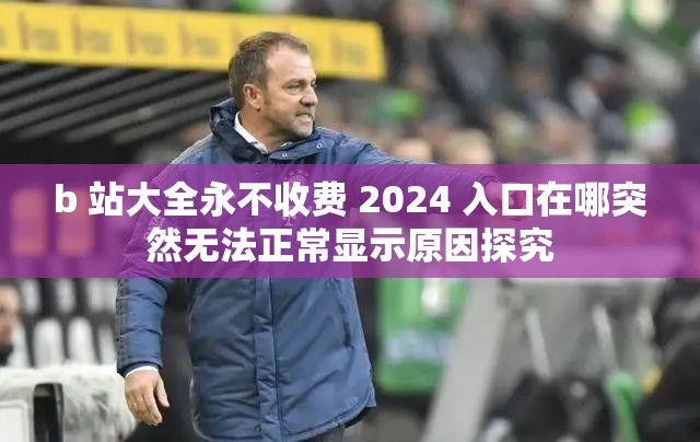 b 站大全永不收费 2024 入口在哪突然无法正常显示原因探究