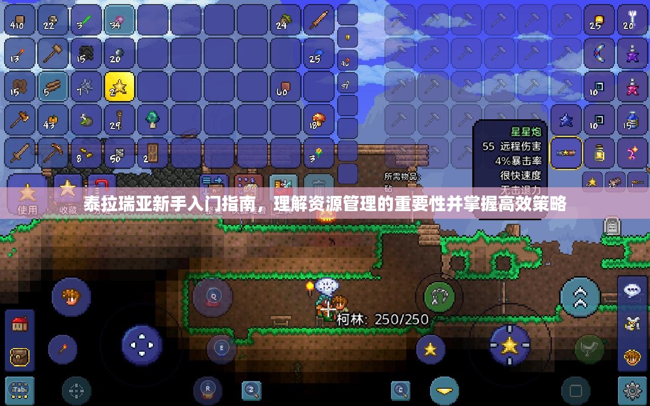 泰拉瑞亚新手入门指南，理解资源管理的重要性并掌握高效策略