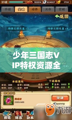 少年三国志VIP特权资源全面解析及高效利用策略指南