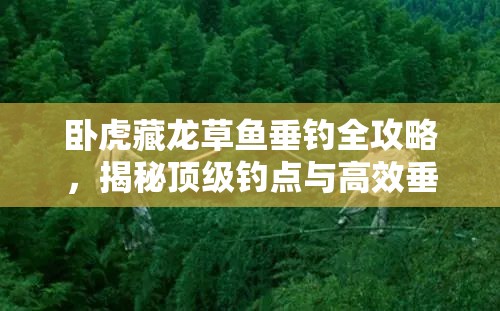 卧虎藏龙草鱼垂钓全攻略，揭秘顶级钓点与高效垂钓技巧秘籍