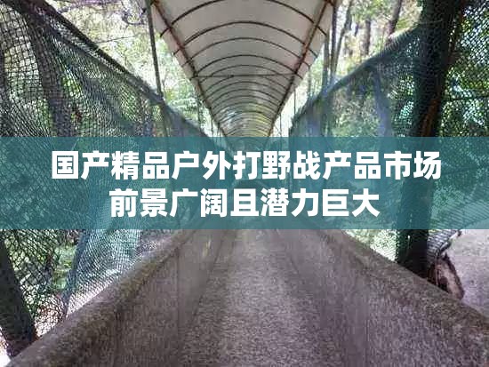 国产精品户外打野战产品市场前景广阔且潜力巨大
