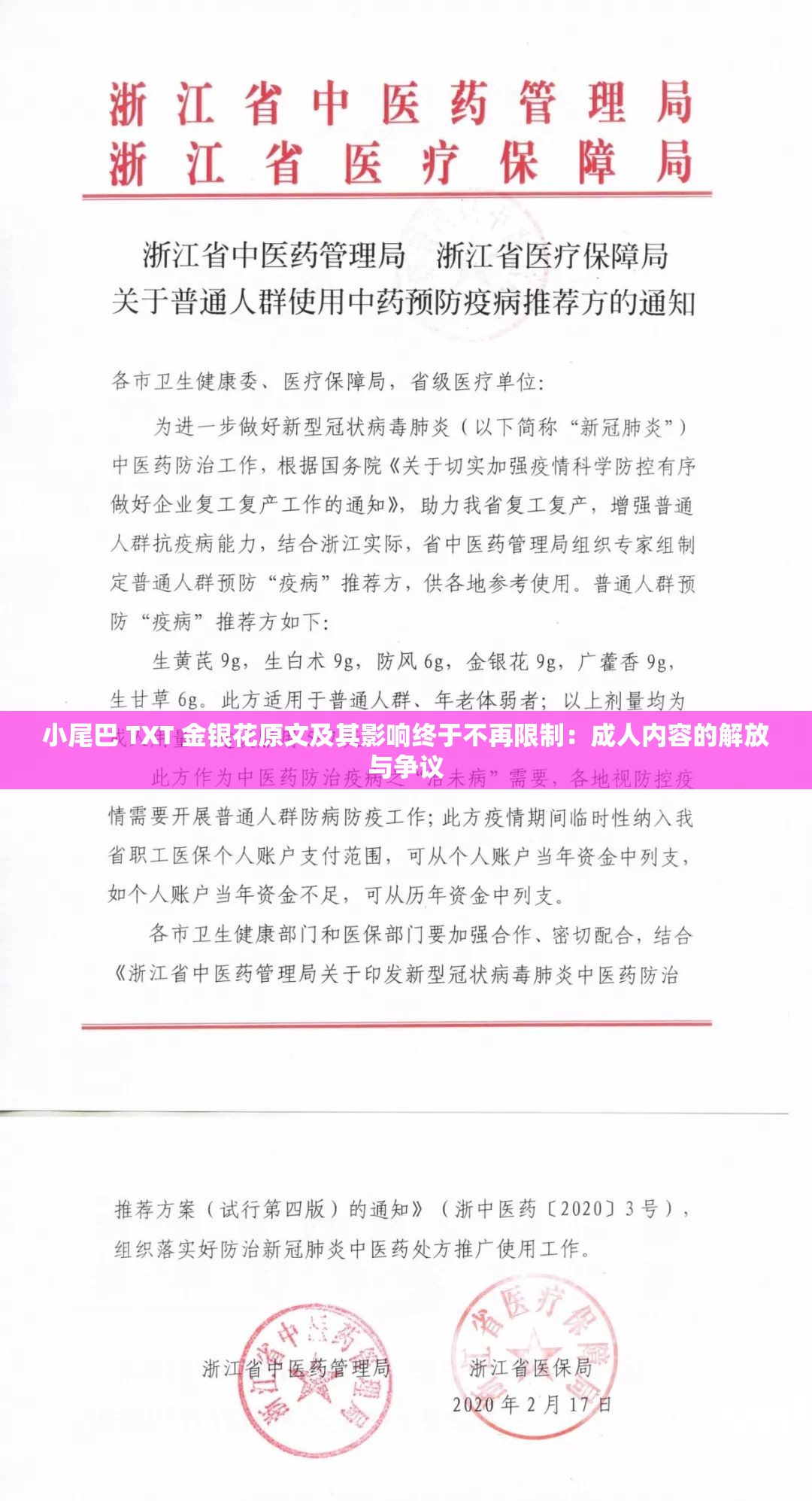 小尾巴 TXT 金银花原文及其影响终于不再限制：成人内容的解放与争议