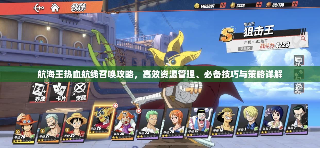 航海王热血航线召唤攻略，高效资源管理、必备技巧与策略详解