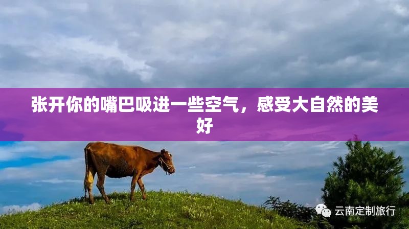 张开你的嘴巴吸进一些空气，感受大自然的美好