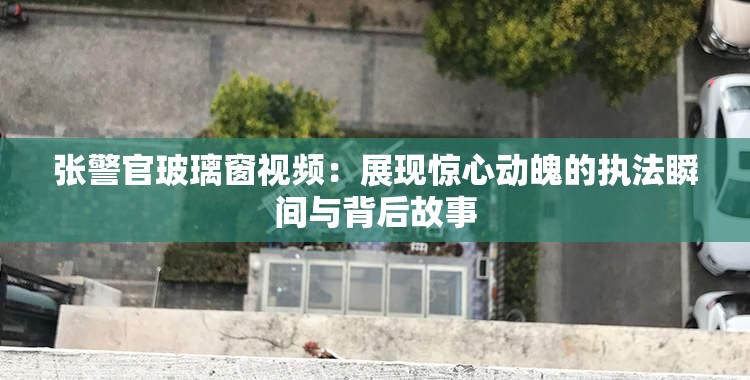 张警官玻璃窗视频：展现惊心动魄的执法瞬间与背后故事