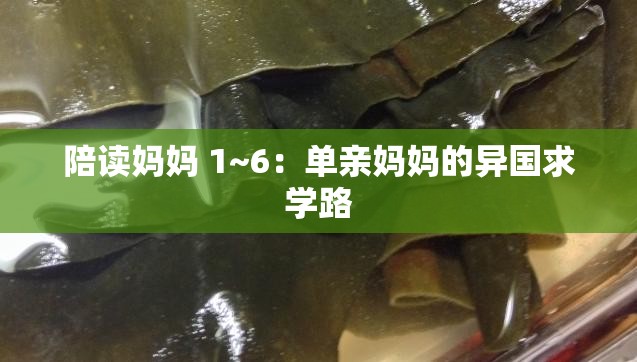 陪读妈妈 1~6：单亲妈妈的异国求学路