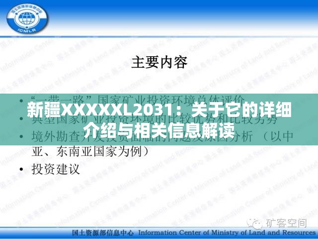 新疆XXXXXL2031：关于它的详细介绍与相关信息解读