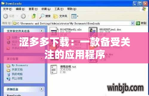 涩多多下载：一款备受关注的应用程序