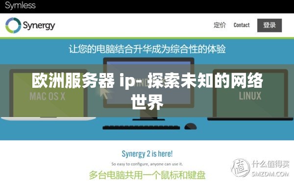 欧洲服务器 ip- 探索未知的网络世界