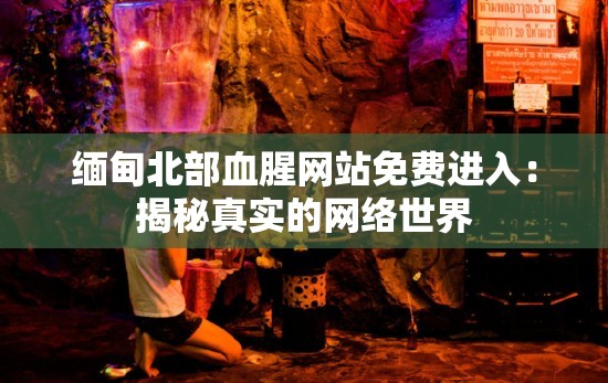 缅甸北部血腥网站免费进入：揭秘真实的网络世界