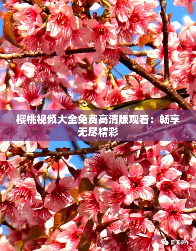 樱桃视频大全免费高清版观看：畅享无尽精彩