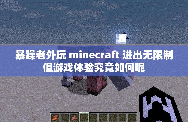暴躁老外玩 minecraft 进出无限制但游戏体验究竟如何呢