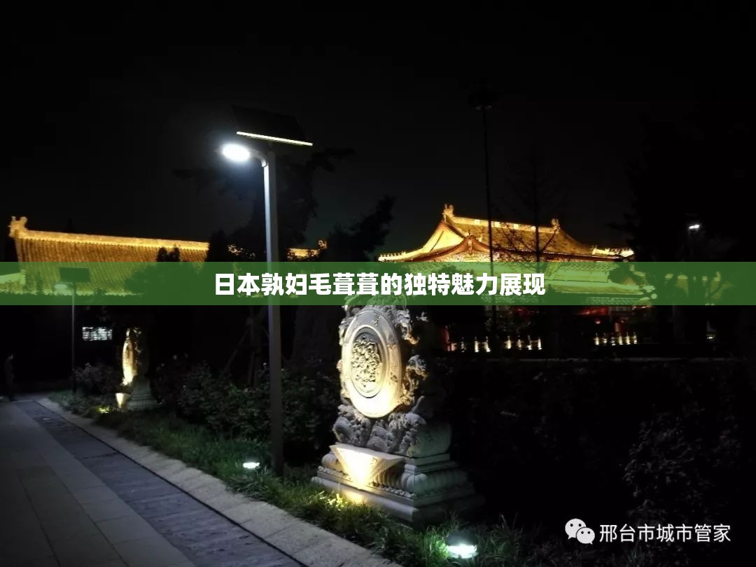 日本孰妇毛葺葺的独特魅力展现