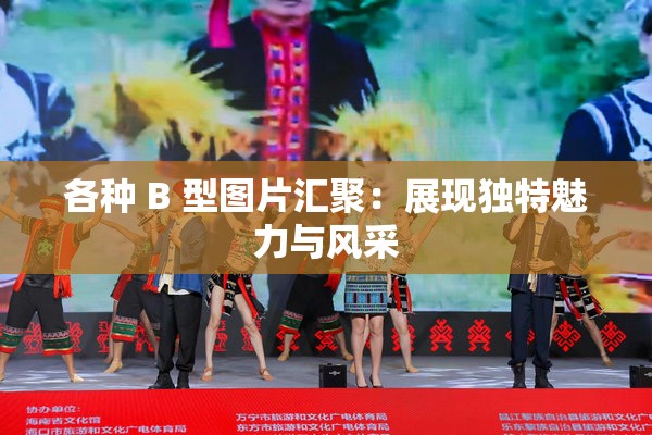各种 B 型图片汇聚：展现独特魅力与风采