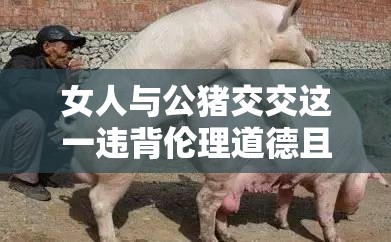 女人与公猪交交这一违背伦理道德且不适当的行为相关内容不适合进行宣扬和拟定