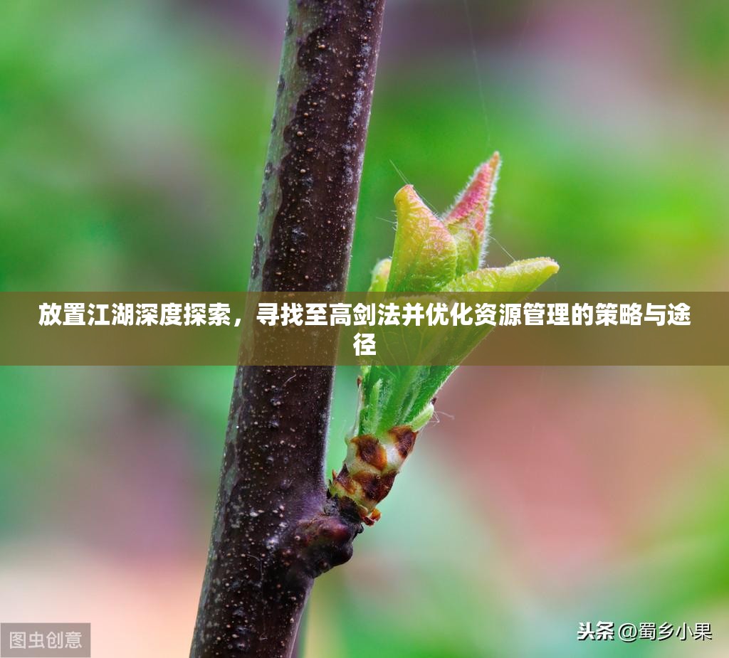 放置江湖深度探索，寻找至高剑法并优化资源管理的策略与途径