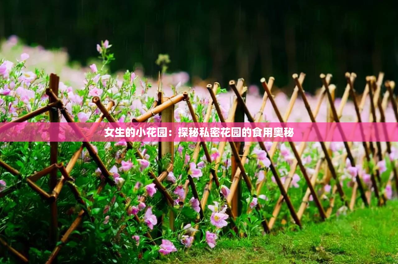 女生的小花园：探秘私密花园的食用奥秘