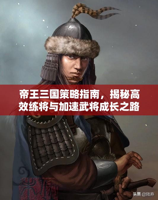 帝王三国策略指南，揭秘高效练将与加速武将成长之路的秘诀