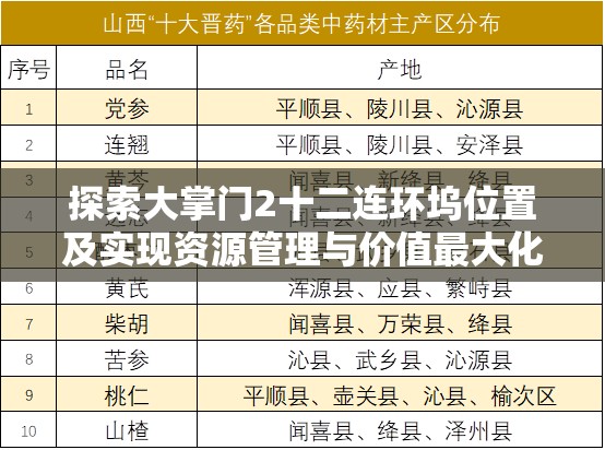 探索大掌门2十二连环坞位置及实现资源管理与价值最大化的策略