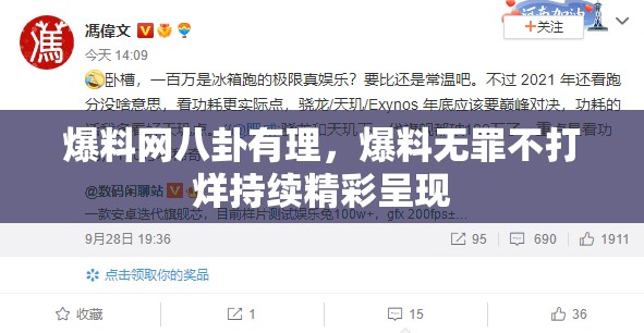 爆料网八卦有理，爆料无罪不打烊持续精彩呈现