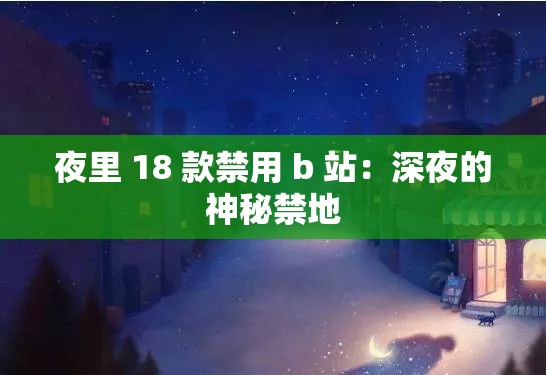 夜里 18 款禁用 b 站：深夜的神秘禁地