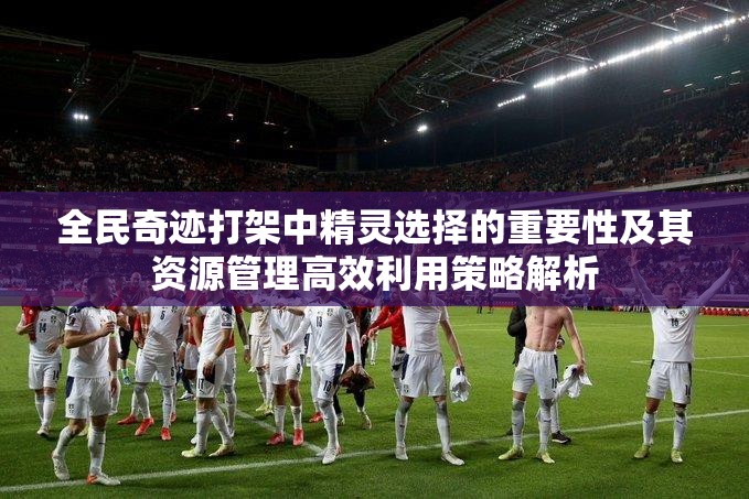 全民奇迹打架中精灵选择的重要性及其资源管理高效利用策略解析